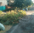 Из Батайска стало трудно вывозить мусор из-за закрывшегося в Кагальнике полигона - Газета Вперёд