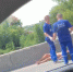 В Ростовской области под колеса автомобиля попали двое детей + видео - Газета Вперёд