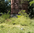0010.jpg - Администрация г. Батайск