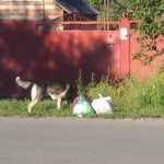 Невыносимо