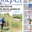 Пища богов, или пыль дьявола. Амброзия захватывает Батайск: кто виноват и что делать? - Газета Вперёд