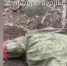 Изверги! Стреляют в лежащих на земле россиян: появилось видео расправы ВСУ над безоружными бойцами - Газета Вперёд