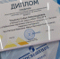 Батайская школьница поедет в Ярославль защищать регион - Газета Вперёд