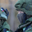 Будет ли новая волна мобилизации в 2025 году? Что говорят в Госдуме? - Газета Вперёд