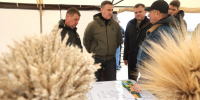 Ростовская область получит 8 млрд рублей на программы в сфере экологии - Газета Вперёд