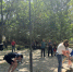 В Батайске работа по благоустройству города будет вестись на систменой основе - Газета Вперёд