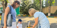 В Батайске в детском саду отметили День семьи, любви и верности - Газета Вперёд