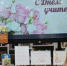 В Батайске проходит книжная выставка в честь Дня учителя - Газета Вперёд