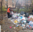 В Батайске подрядчики ликвидировали свалку в Авиагородке - Газета Вперёд