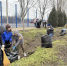 В Батайске продолжатся субботники в рамках месячника чистоты - Газета Вперёд