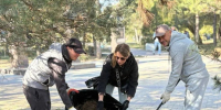 В Батайске пройдет День древонасаждения - Газета Вперёд